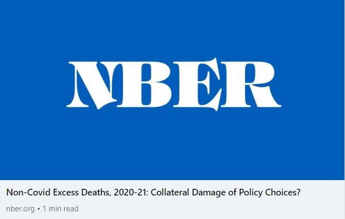 Non-Covid Excess Deaths, 2020-21: Collateral Damage of Policy Choices?